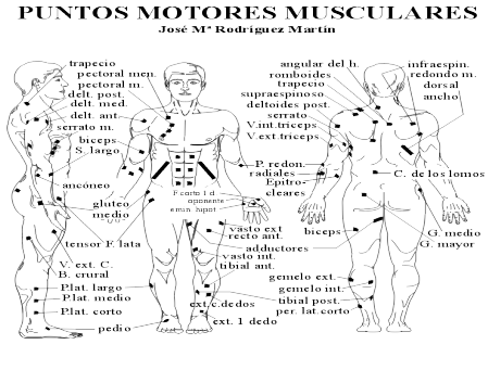 ELECTROESTIMULACIÓN NEUROMUSCULAR CON CORRIENTE DE BAJA Y MEDIA FRECUENCIA