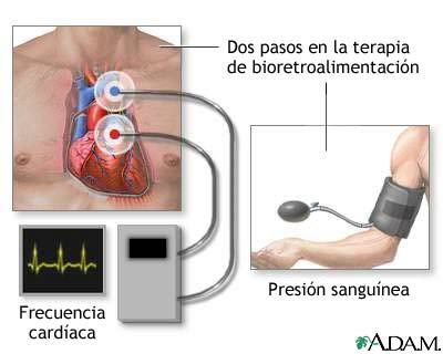 Técnicas de Investigación en Psicobiologia