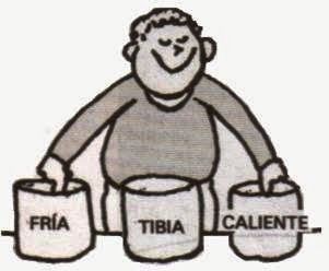 Estilos de Personalidad a través del MIPS - MODOS COGNITIVOS