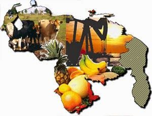 PROYECTO NACIONAL Y NUEVA CIUDADANIA
