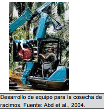 Labores de mecanización del cultivo de la palma de aceite.