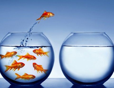 Psicología Positiva en Psicoterapia*