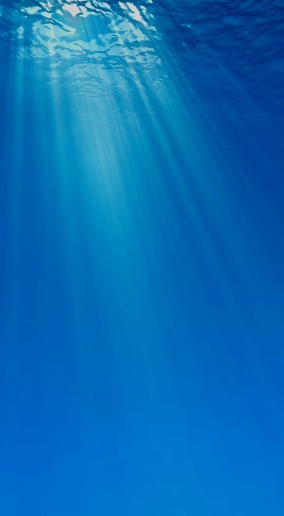 La Estrategia del Océano Azul