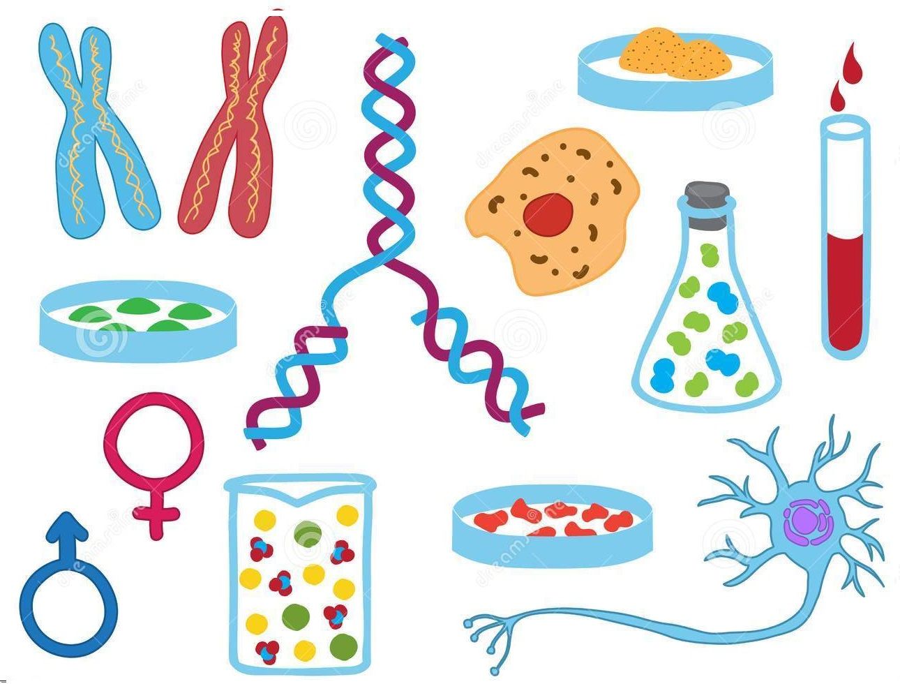 Aportes de la Filosofía, Fisiología, Biología a la Psicología