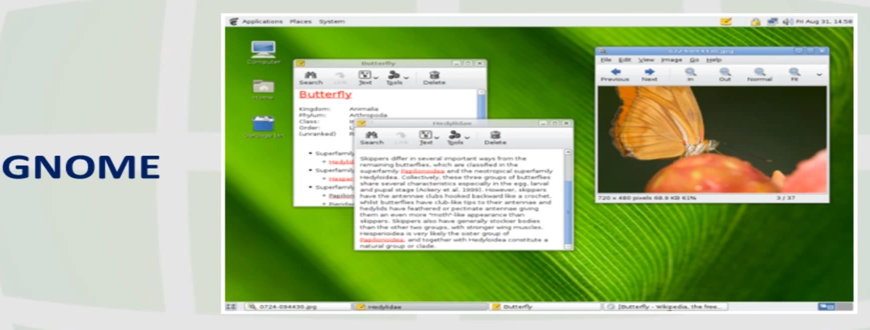 LINUX - VISÃO GERAL
