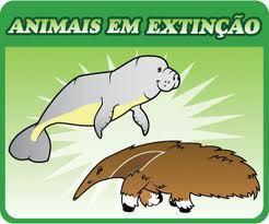 210- LEI 9.605/98- CRIMES AMBIENTAIS- DELITOS CONTRA A FAUNA- ART. 29
