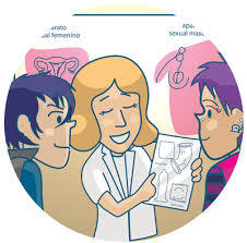 PRINCIPIOS DE ACCIÓN DEL ESTADO PARA TRABAJAR EN SALUD SEXUAL