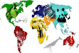 EXTINCIÓN DE ESPECIES