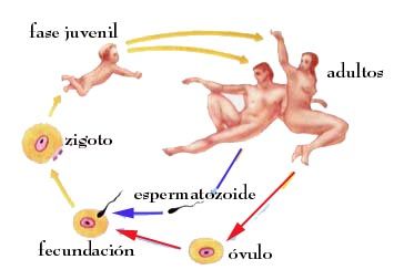 Principios del Estado para Trabajar la Salud Sexual y Reproductiva