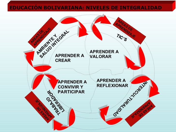 Diversidad Curricular