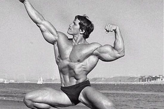 TRABAJO, ENERGÍA, POTENCIA BIOFÍSICA MUSCULAR