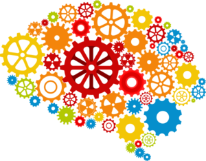 El cerebro no busca la verdad sino sobrevivir
