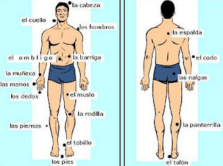 Generalidades de la Anatomía,Fisiología