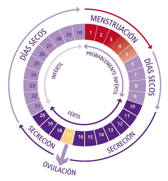 Conocimiento de la fertilidad (MBCF)