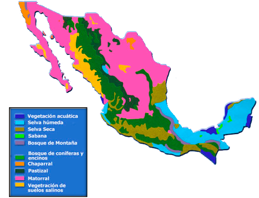 ESTABLECES LA IMPORTANCIA DE LAS REGIONES Y RECURSOS NATURALES EN MEXICO
