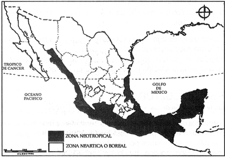 ESTABLECES LA IMPORTANCIA DE LAS REGIONES Y RECURSOS NATURALES EN MEXICO