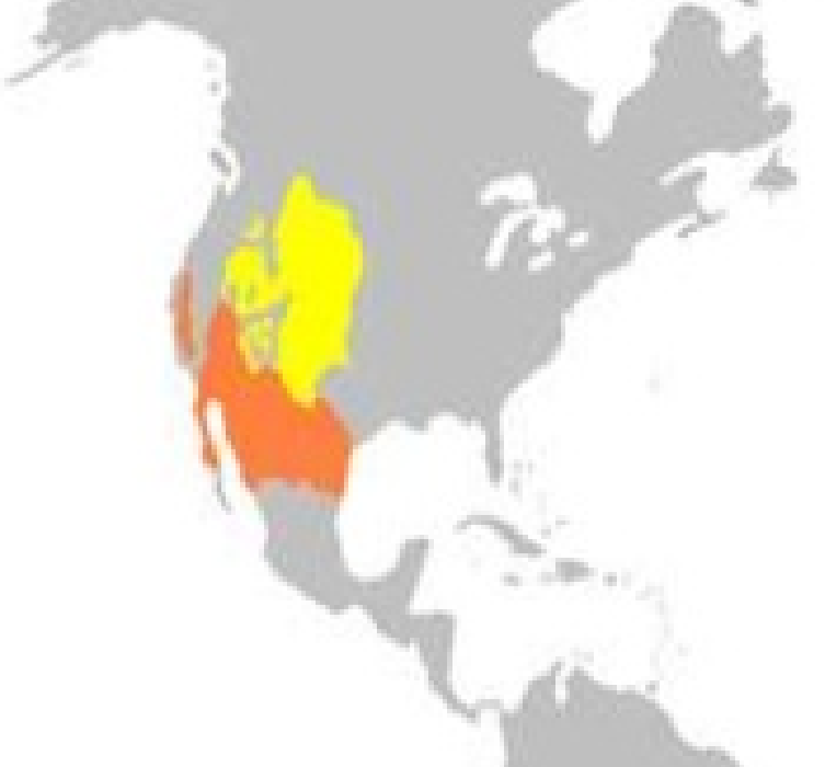 ESTABLECES LA IMPORTANCIA DE LAS REGIONES Y RECURSOS NATURALES EN MEXICO