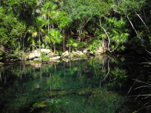 ESTABLECES LA IMPORTANCIA DE LAS REGIONES Y RECURSOS NATURALES EN MEXICO