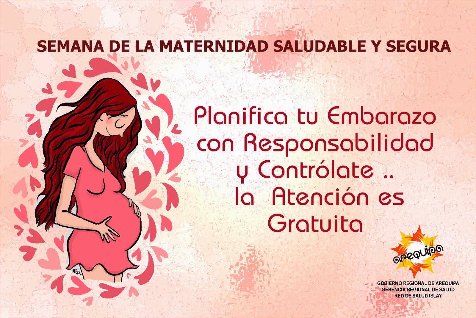 Principios de Accion del Estado paraTrabajar la Salud Sexual y Reproductiva 2
