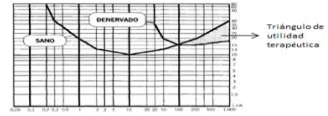 ELECTROESTIMULACION MUSCULAR