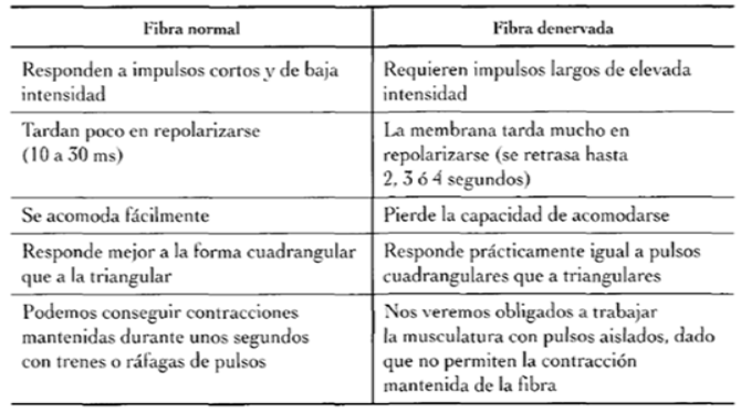 ELECTROESTIMULACION MUSCULAR