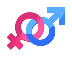 PRINCIPIOS DE ACCION DEL ESTADO, EN LA SALUD SEXUAL Y REPRODUCTIVA