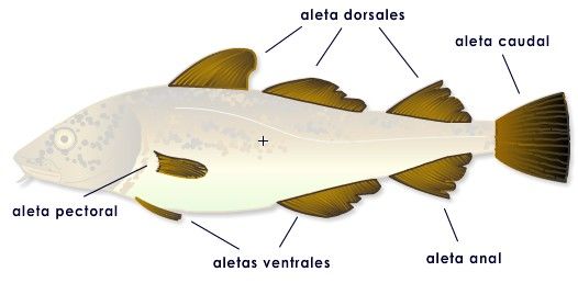 COMUNIDADES DE SERES VIVOS Y ECOSISTEMAS
