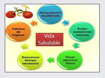Principios de Accion del Estado paraTrabajar la Salud Sexual y Reproductiva 2