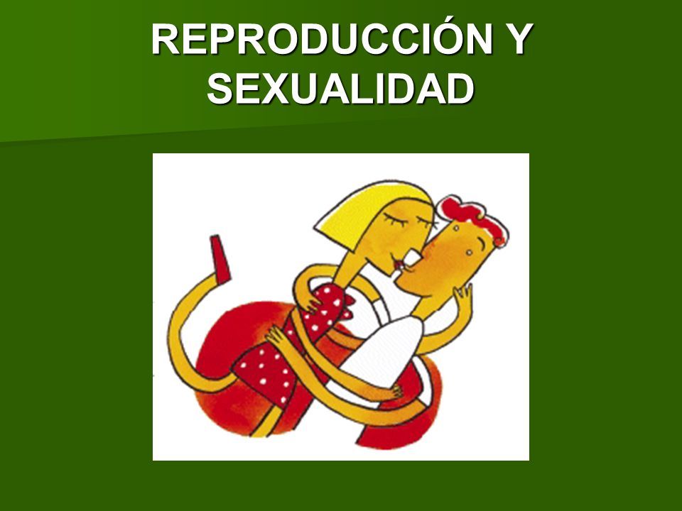 Principios del estado para trabajar la salud sexual y reproductiva en Colombia
