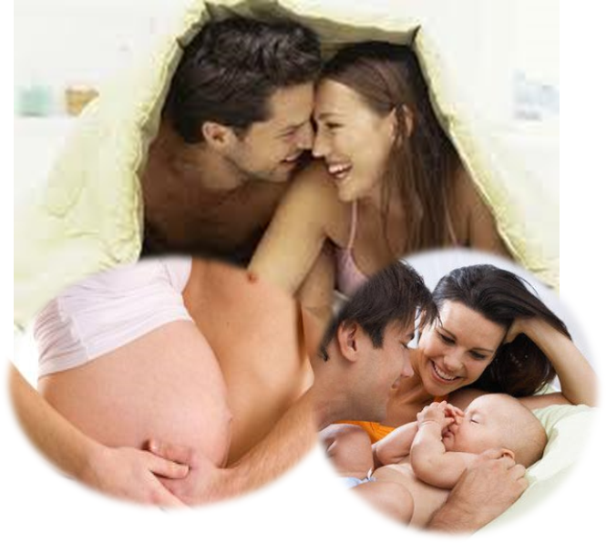 PRINCIPIOS DE ACCIÓN DEL ESTADO PARA TRABAJAR LA SALUD SEXUAL Y REPRODUCTIVA
