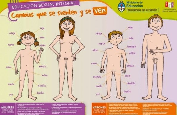 PRINCIPIOS DE ACCIÓN DEL ESTADO PARA TRABAJAR LA SALUD SEXUAL Y REPRODUCTIVA