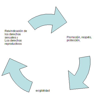 PRINCIPIOS DE ACCIÓN /SEXUALIDAD, DERECHOS SEXUALES Y REPRODUCTIVOS