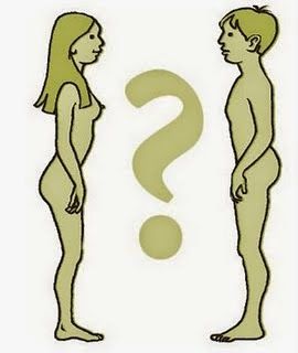 Lineas de accion del estado para trabajar la salud sexual y reproductiva