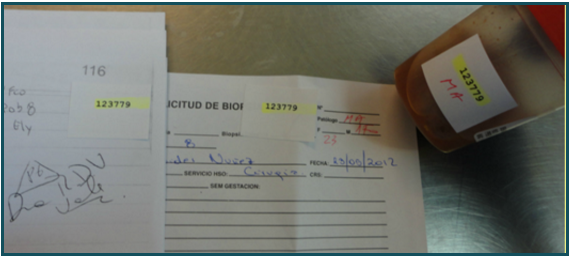 Recepción de frascos,Matriculación de pedidos, Codificación para frascos y pedidos de exámenes Histopatológicos