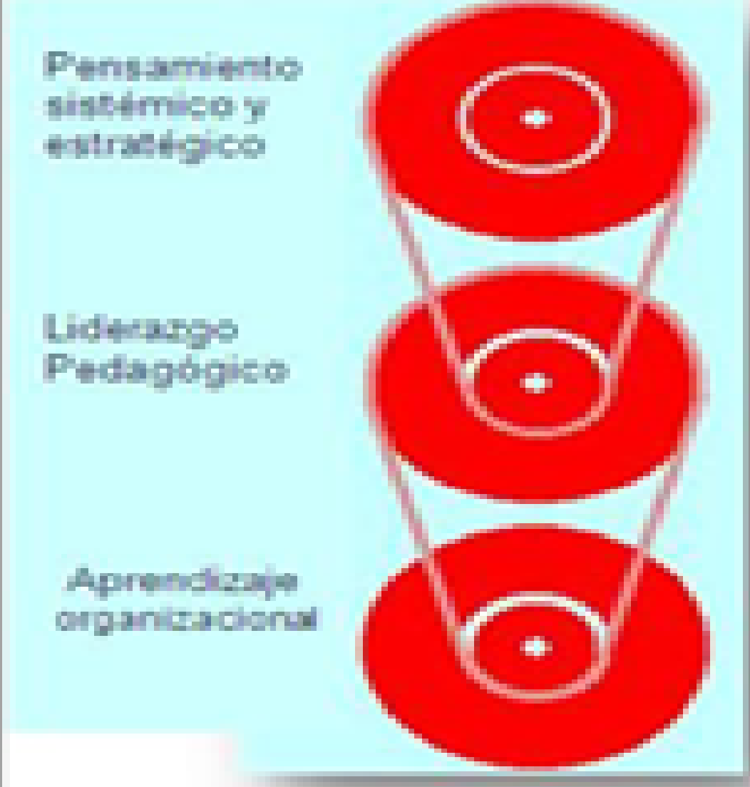 Gestión Educativa II