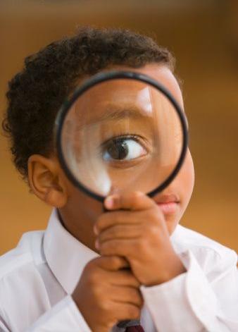Modelos de aprendizaje según Felder y Siverman