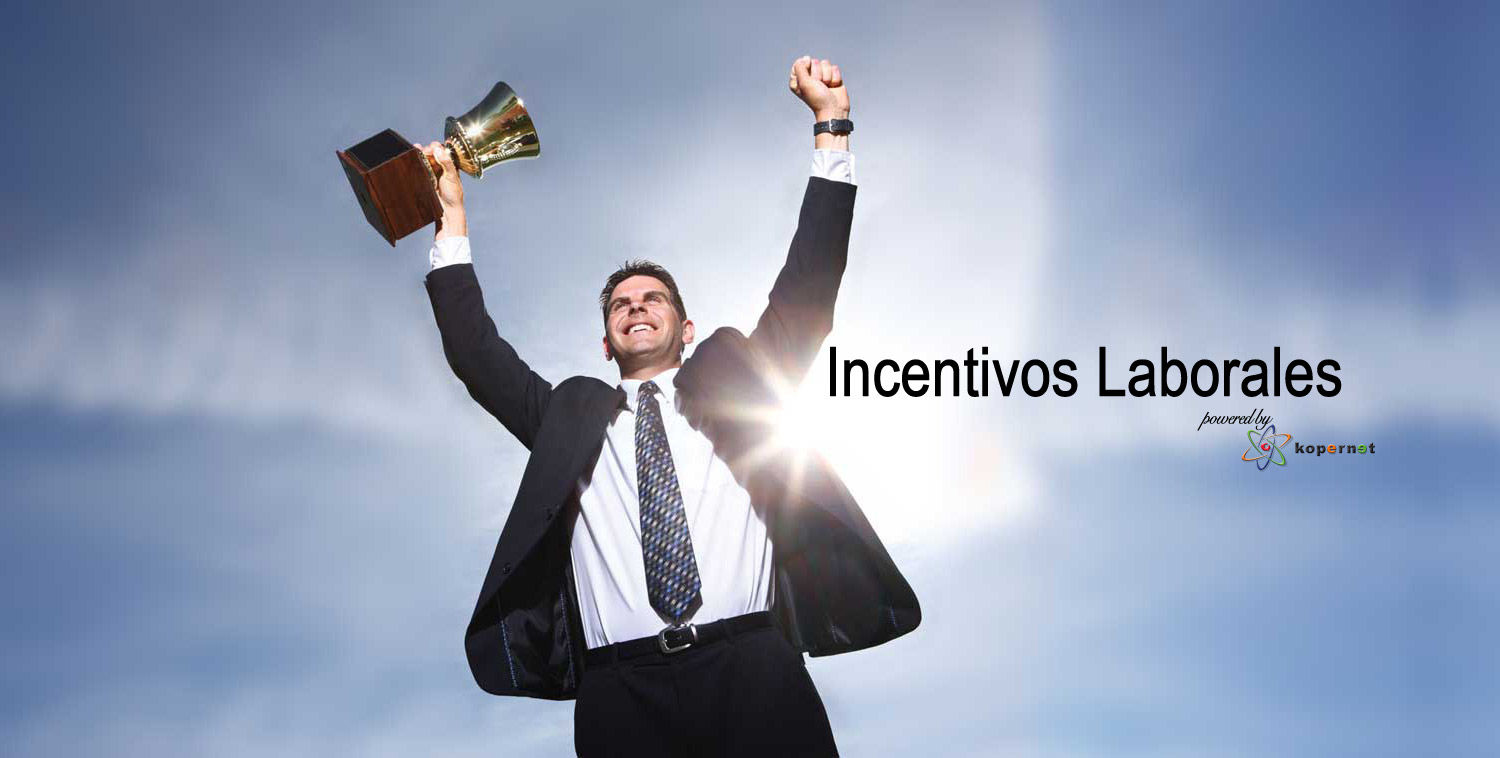 La percepción y la toma de decisiones individuales.