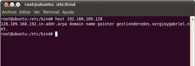 Intalación del Servidor DNS en Ubuntu 16.04.1