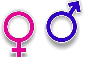 Principios del estado para trabajar la salud sexual y reproductiva