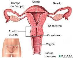 Politíca Nacional de sexualidad Derechos Sexuales y Reproductivos