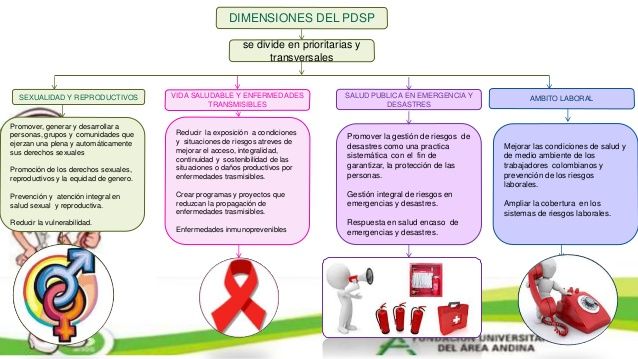 Principios de acción del Estado Colombiano para trabajar la salud S y R