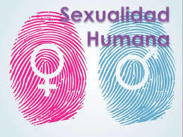 PRINCIPIOS DE ACCIÓN DEL ESTADO PARA TRABAJAR LA SALUD SEXUAL Y REPRODUCTIVA