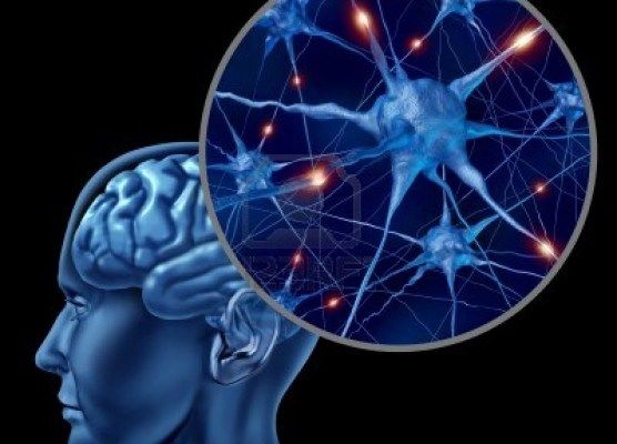 TECNOLOGIA Conjunto de técnicas e habilidades humanas que se aplicam para um determinado fim/produto