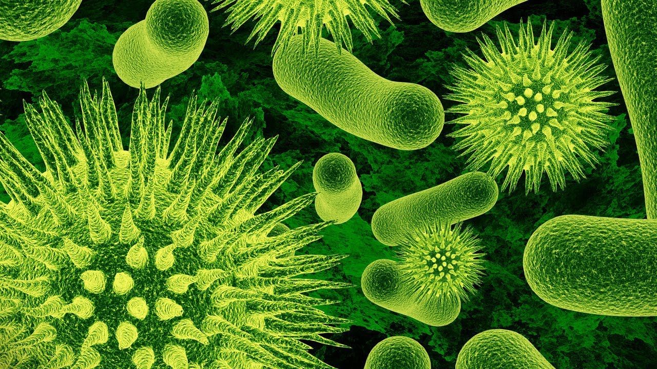 Origen de la Vida y Evolución de los Seres Vivos