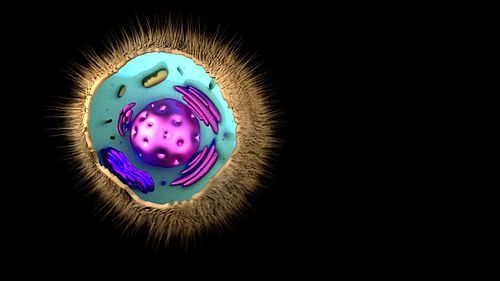 Origen de la Vida y Evolución de los Seres Vivos