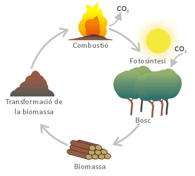 Fonts D'Energia
