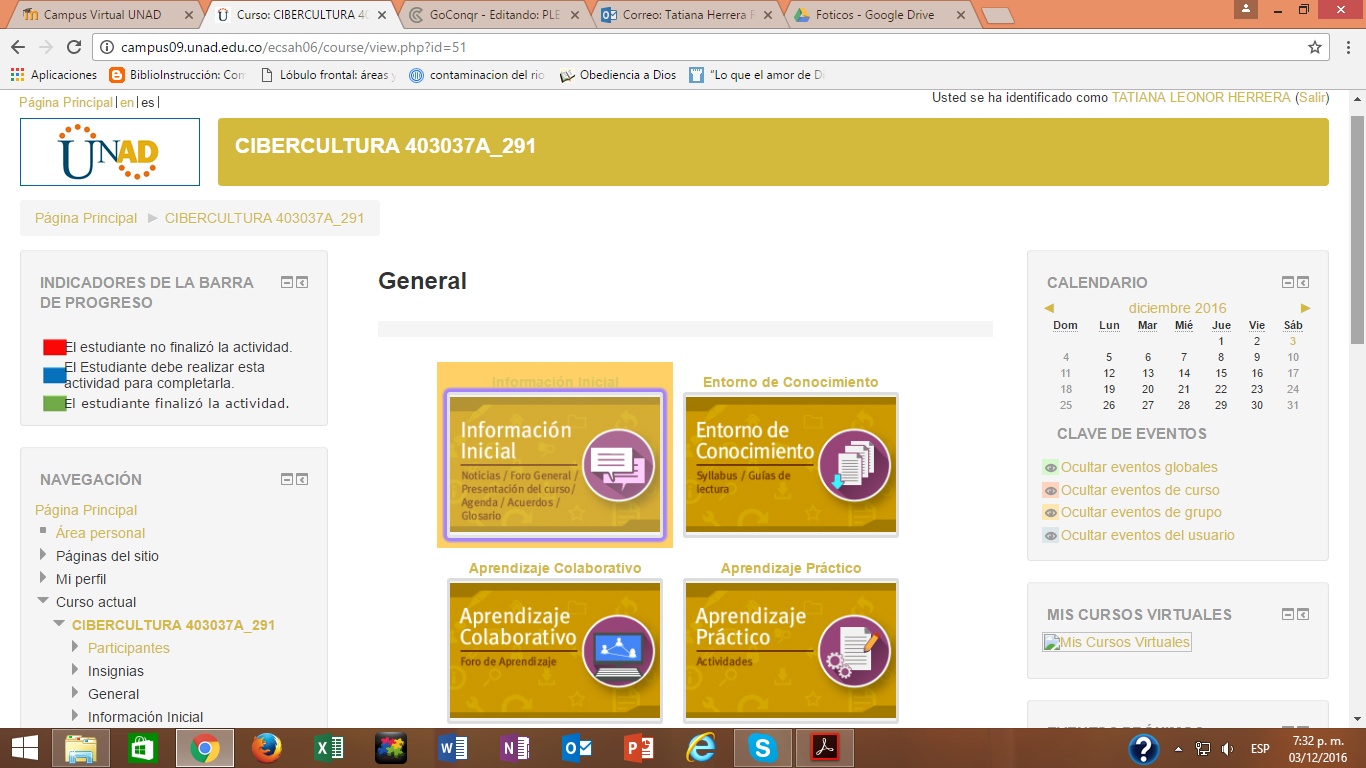 PLE - Tatiana Herrera Preparación profesional PSICOLOGÍA