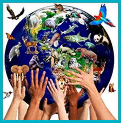 Derechos humanos y bioética