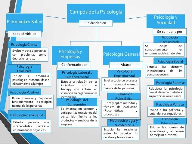 Porque escogí la carrera de psicología