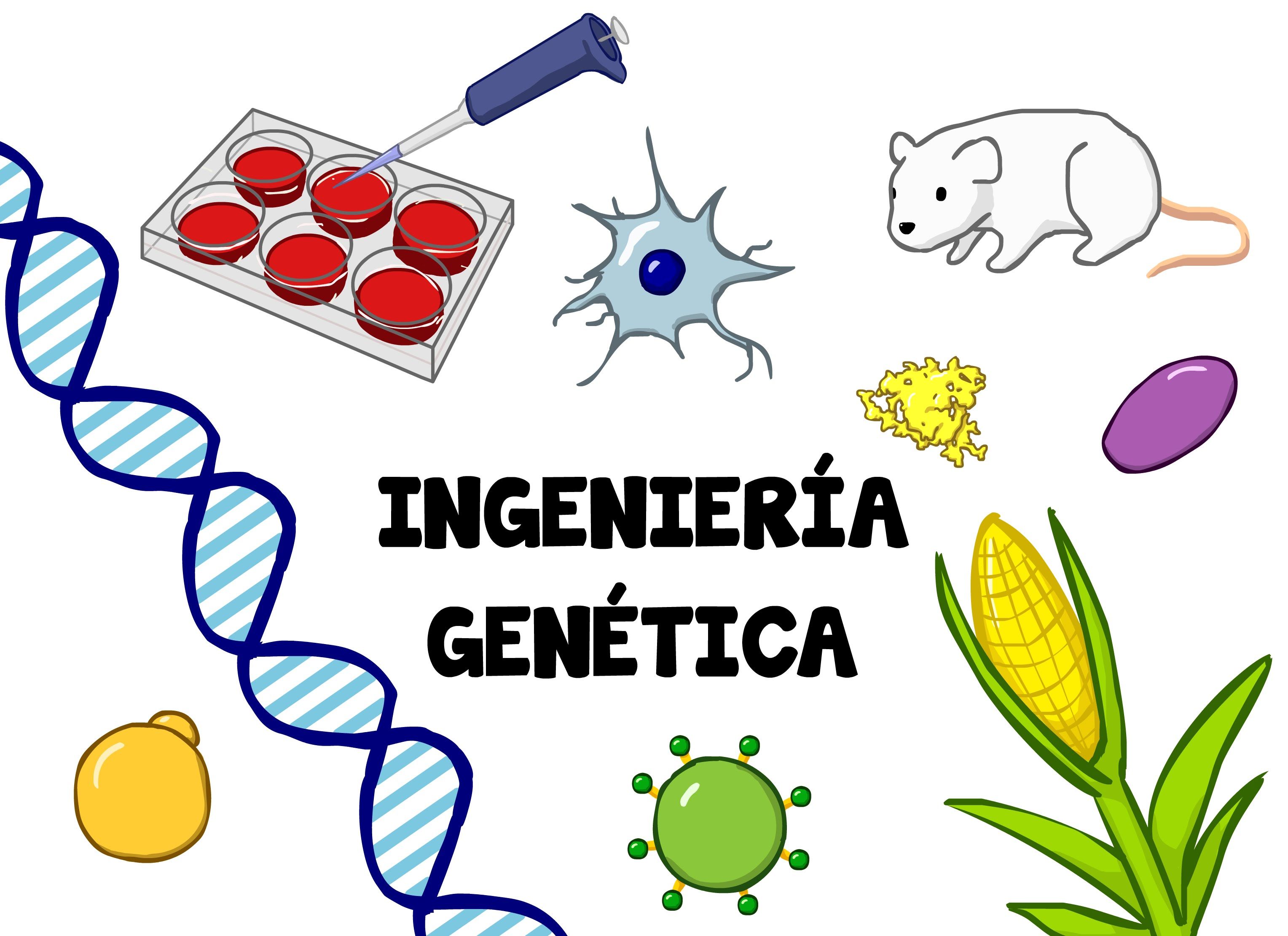 herencia de enfermedades ligadas al sexo